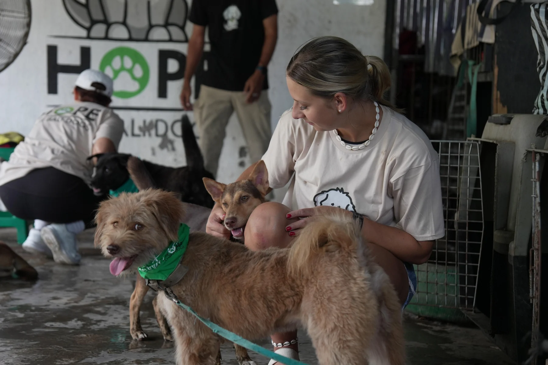 Selina bei den Hunden im Tierschutz auf Bali